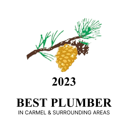 2023 best plumber golden pinecone award logo